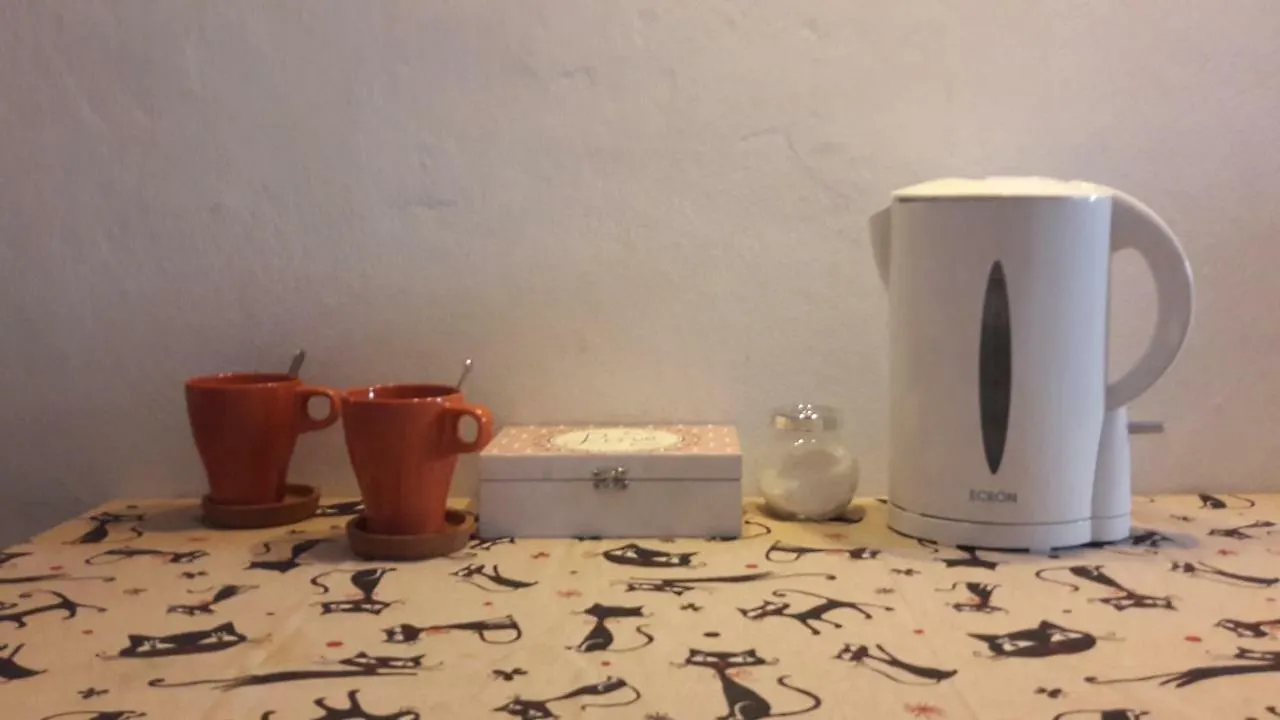 Appartamento Con Terrazza In Santa Maria Novella Florence 0*,